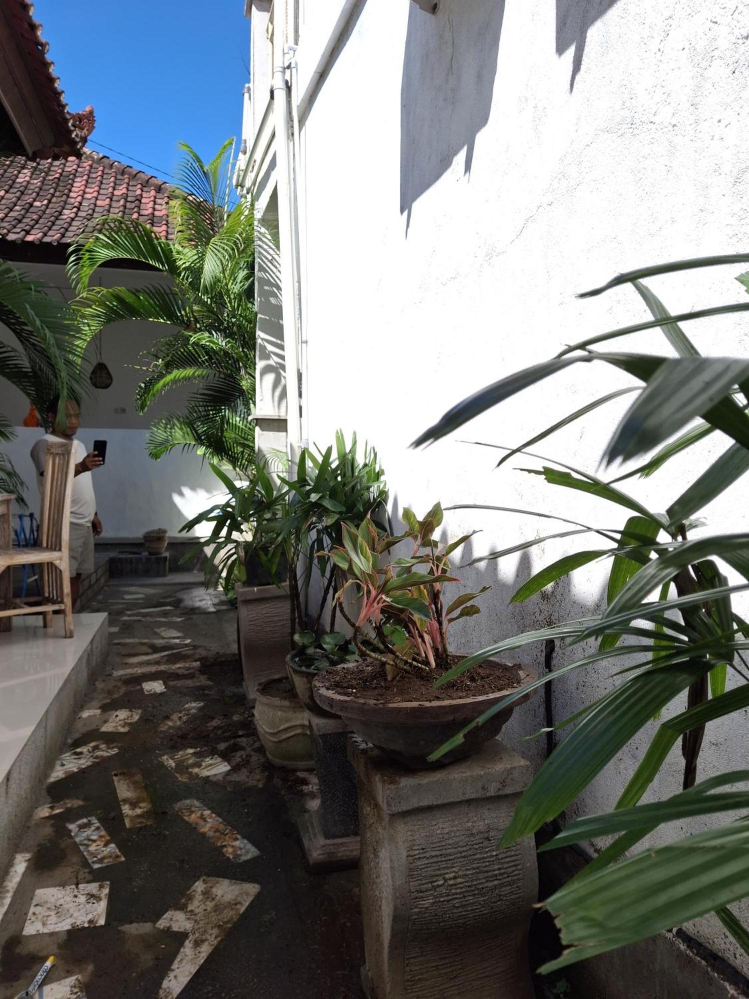 Adore Guesthouse 아메드 객실 사진